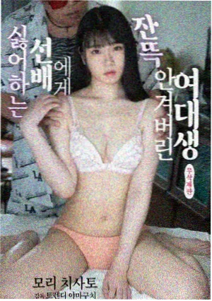 剧集回声档案封面图